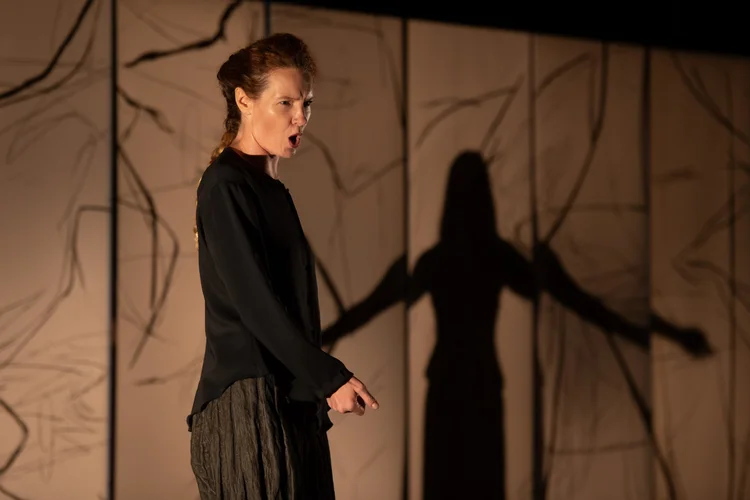 A woman stands on stage singing passionately, casting a dramatic shadow with outstretched arms on a backdrop featuring abstract lines.