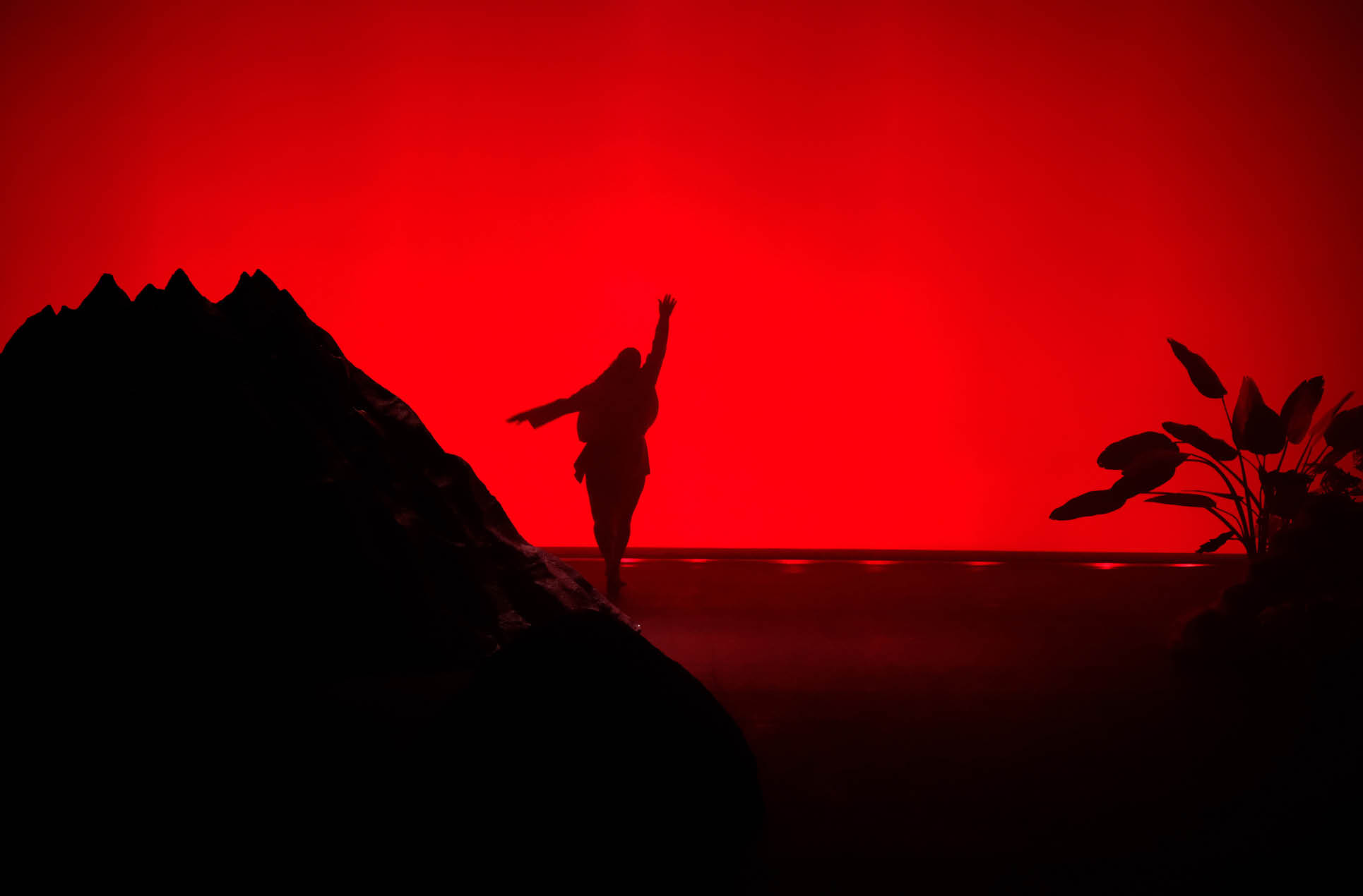 A person’s silhouette stands with one arm raised against a vivid red background, flanked by dark shapes of a rock and plants on either side.
